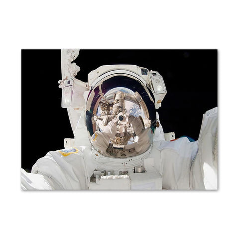 Poster selfie astronaute